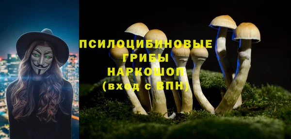 ALPHA PVP Медногорск