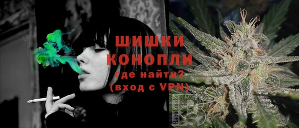 дурь Мегион