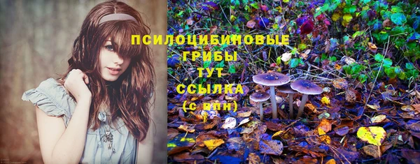 дурь Мегион