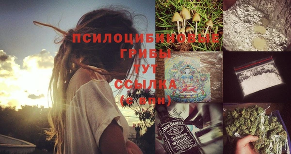 дурь Мегион