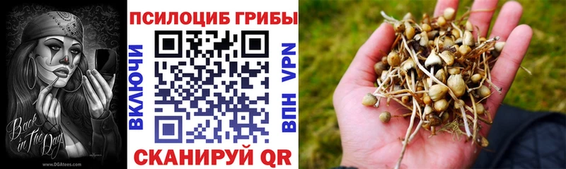 Псилоцибиновые грибы Cubensis  МЕГА ONION  Новороссийск 