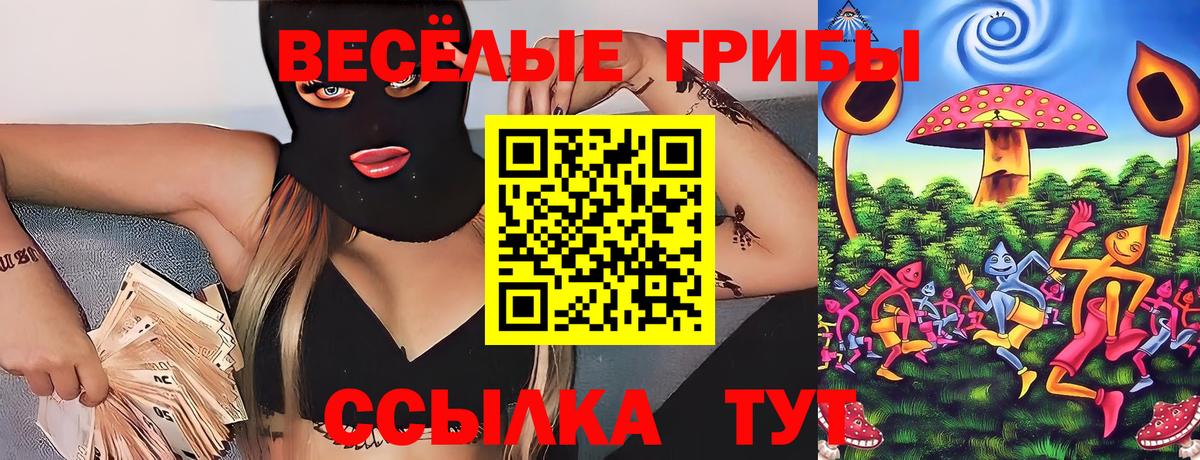 Новороссийск  Псилоцибиновые грибы MAGIC MUSHROOMS  Галлюциногенные грибы Cubensis  Вход с VPN 